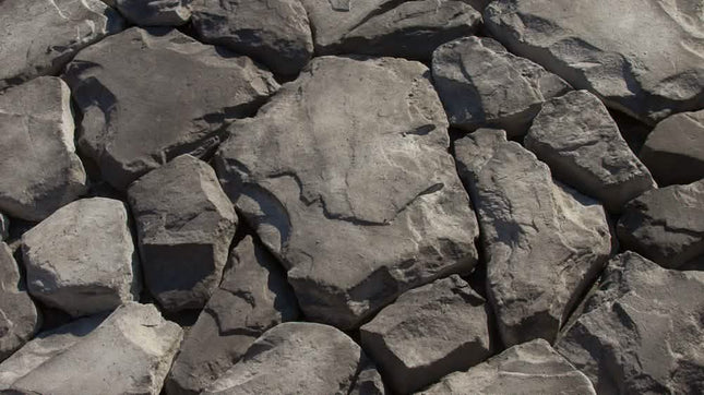 FS:RSV5b - Black/Gray + Black