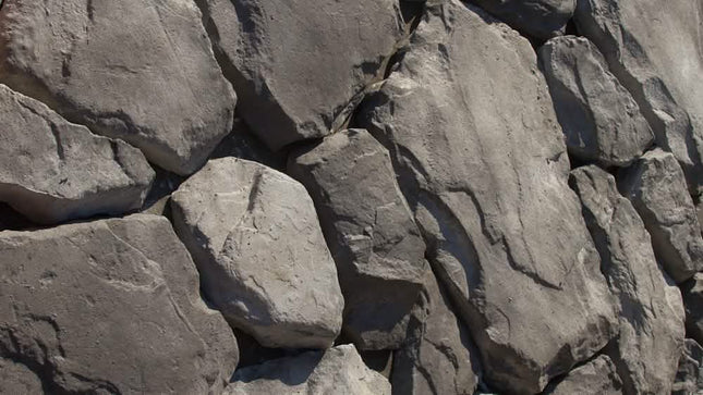 FS:RSV5b - Black/Gray + Black