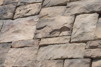 HK:RSV1a - Maplewood - RockSolid Veneers