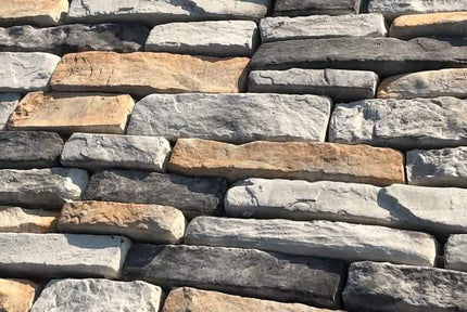 SS: Homosassa Springs - RockSolid Veneers